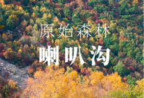 中秋/国庆1日游︱【喇叭沟门】穿越原始森林·走进五彩斑斓童话世界·探寻北京最美秋色