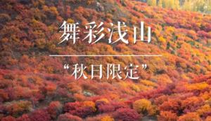 【特价68元】周三/四/六/日|1日游【舞彩浅山】北京著名赏秋打卡圣地+休闲穿越+别致山景+小众原生态