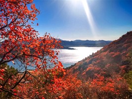 【特价68元】周末1日游︱【金海湖徒步】9点出发+小众绝美徒步栈道+一路湖光山色+金海湖环湖8公里休闲徒步