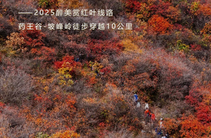 【特价68·免票】周六/周日1日游︱药王谷坡峰岭｜秋染双谷の2025醉美赏红叶线路药王谷-坡峰岭徒步穿越-10公里