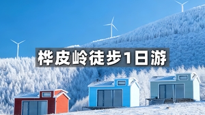 已成行【特价88元】周三/六/日1日游｜桦皮岭｜精华版8Km穿越｜徒步踏雪+森林与雪原的完美结合+感受冬日浪漫（初级）