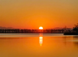  特价68【12:30集合】周三/六/日1日游︱野鸭湖拍日落︱网红打卡拍芦苇漫天+闯入金色芦苇荡的冬日童话