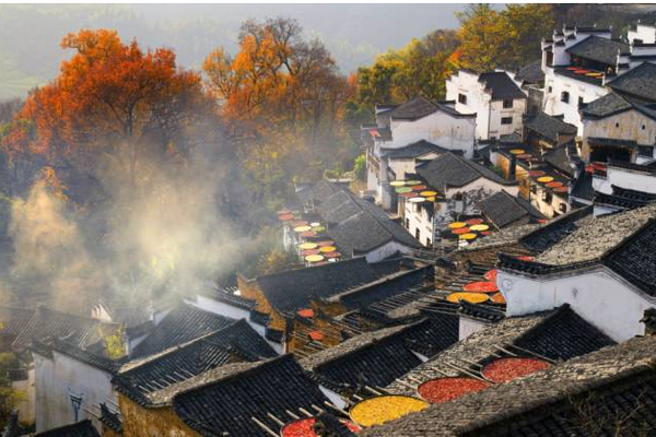 11月11日-12日中国最美乡村婺源-篁岭-石城-长溪两日游
