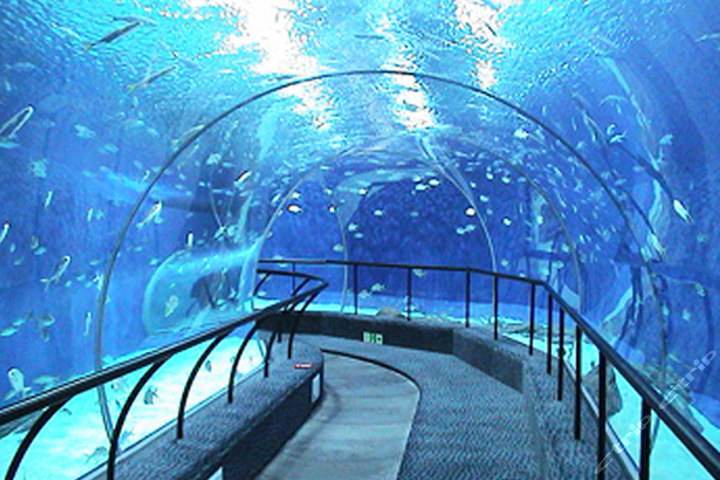 海底世界 长盛水上乐园二日亲子游  海洋乐园馆内海水储量达6000余吨