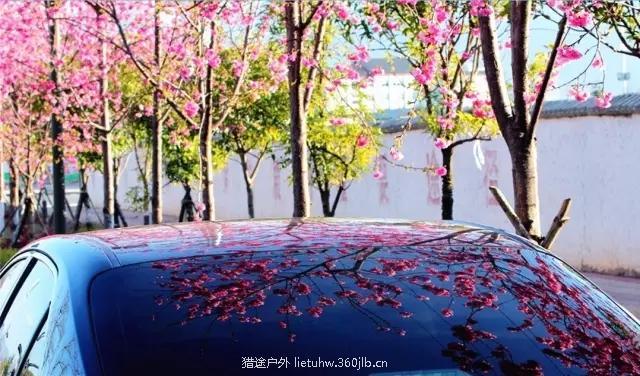 640_wx_fmt=jpeg&tp=webp&wxfrom=5&wx_lazy=1.webp (3).jpg