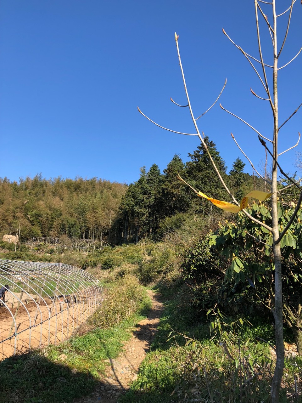 8D8DE13B-29B8-4B34-9598-1D364F1F46C4