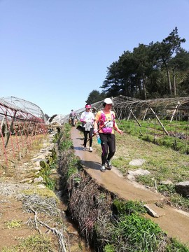 Da9ZguIJ7M5Y1wusChtb-zNPPcFhFC_0pY6OEOHuR9KJRxq67_nEJVpooTWN20KQ