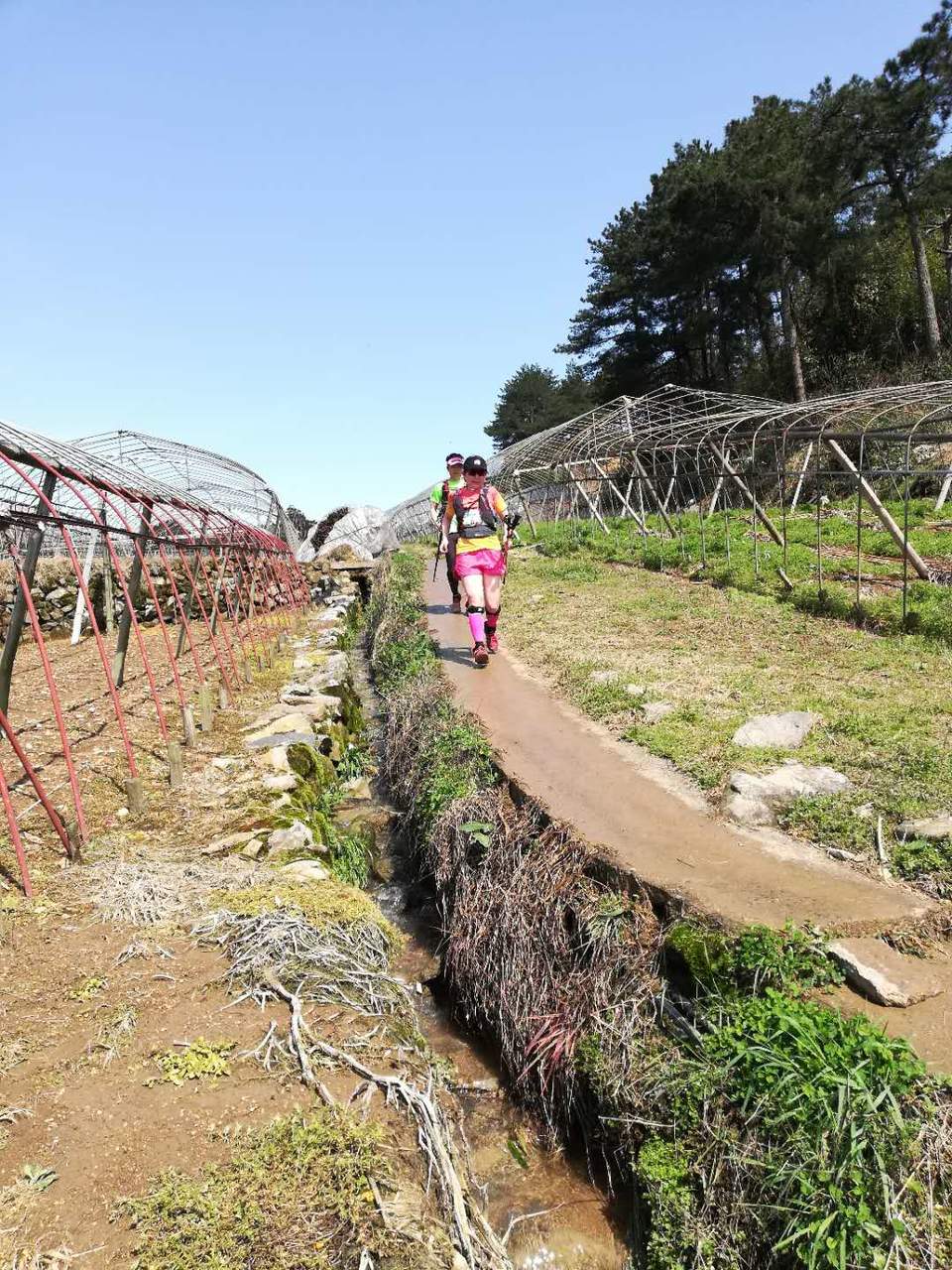 N594XGW7n9qM1N80pT9qMxiI2YrCTYMi6AVzewtd4-c-Vws_w2P9dbh87TeVrA1L