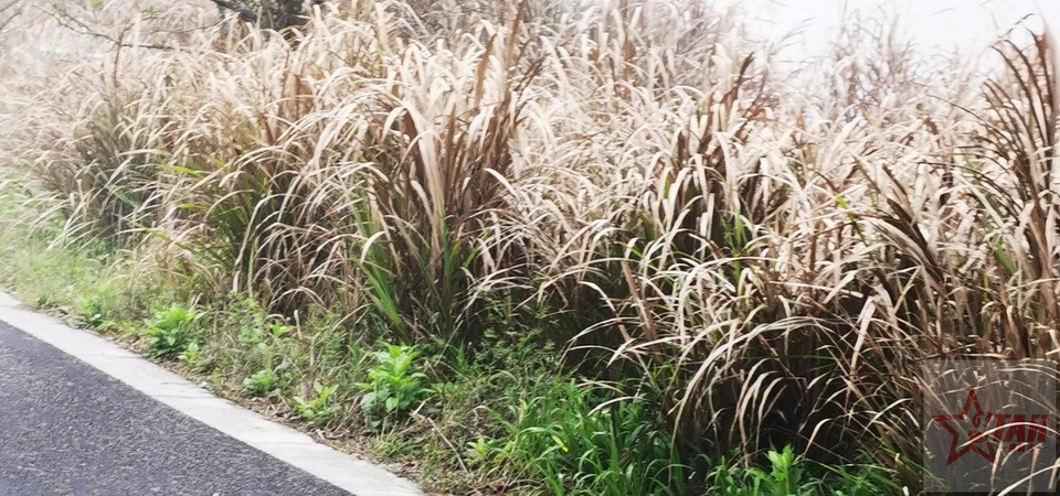 NkzrW_gQRLyceejOiMUc4SCThXUYm7iOFp0dGK0j6TBeIrf5nSbUqR24YWY-zamw