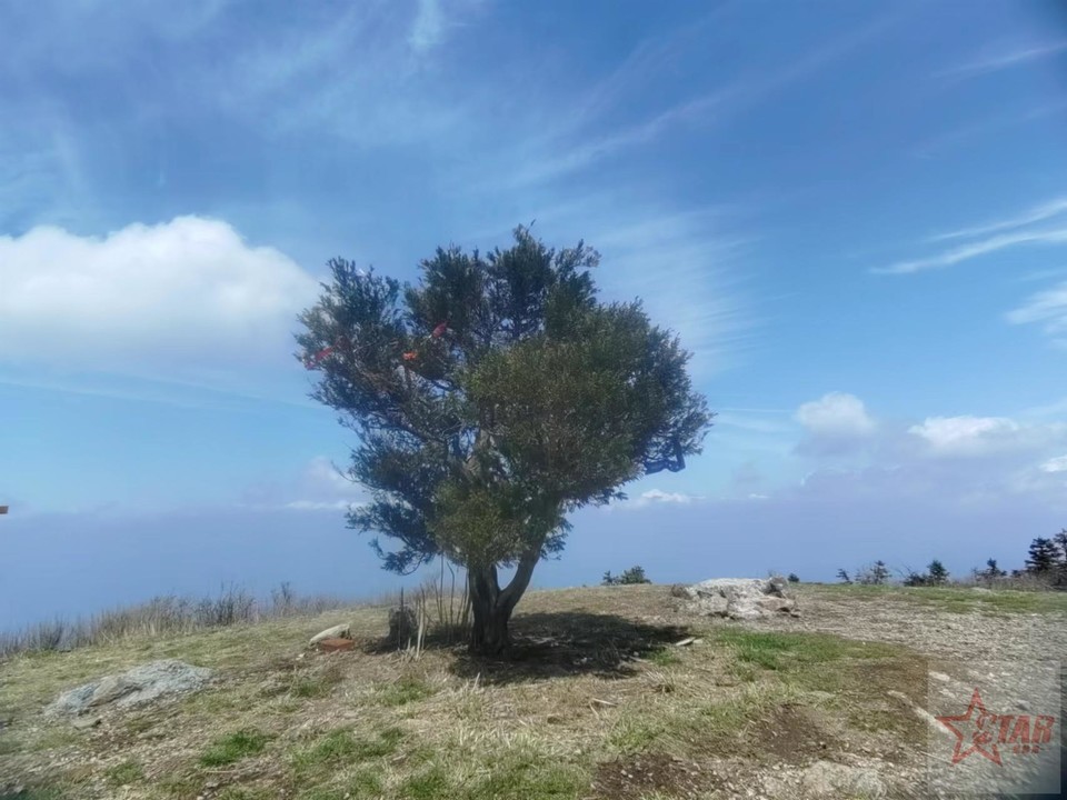 N9NVjdMF-mFrpM69vlFa9_jBPHrVgHd04jqRJRqsp6L46n2_YToRz6c2tzk0FbNL