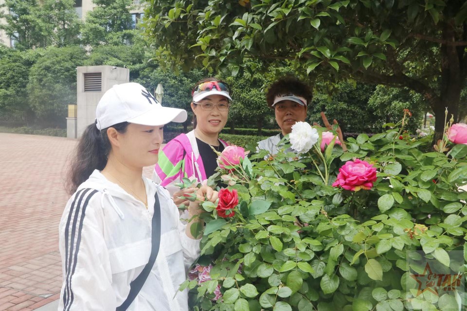 FFaJrK7npQHu9UvCbot2vvNjqb77pL0gpVWliDzDqD2Kmx1Vidb0yIgnDCLnfQHQ