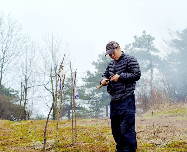 QQ图片20170330160136