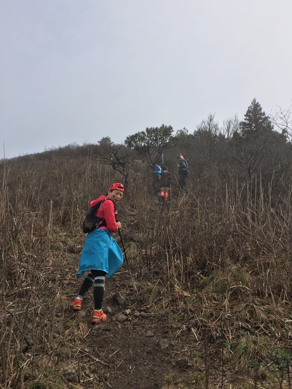 微信图片_20170330154355