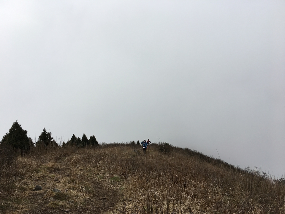 微信图片_20170330154402