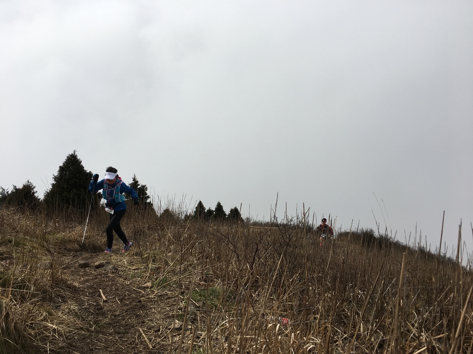 微信图片_20170330154406