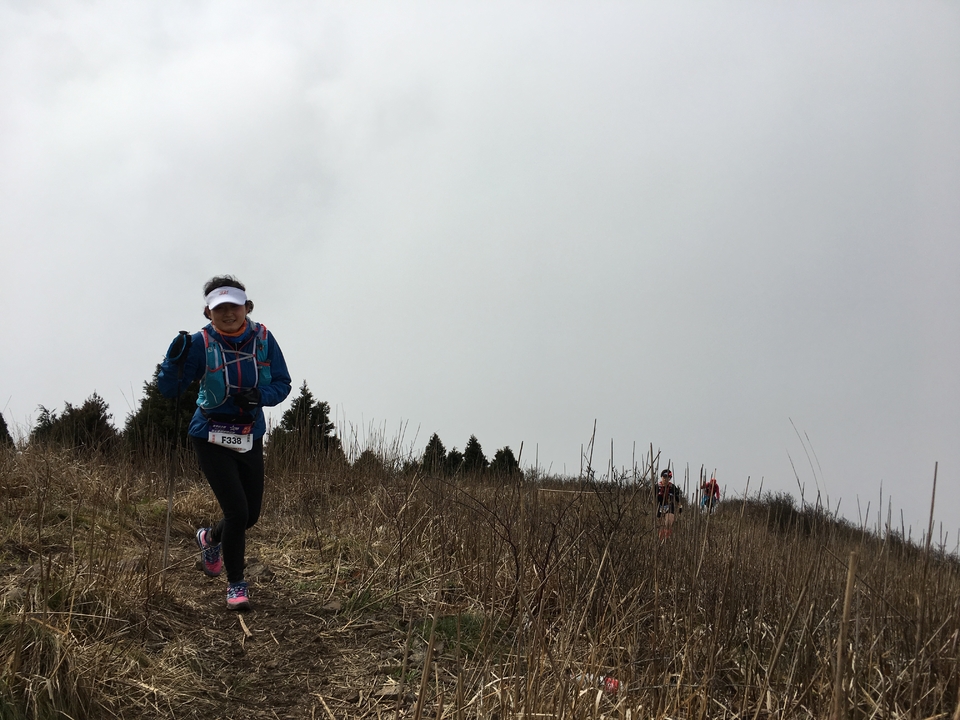 微信图片_20170330154410