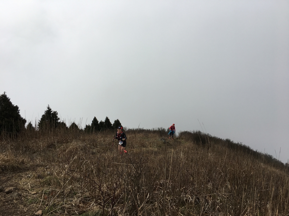 微信图片_20170330154414