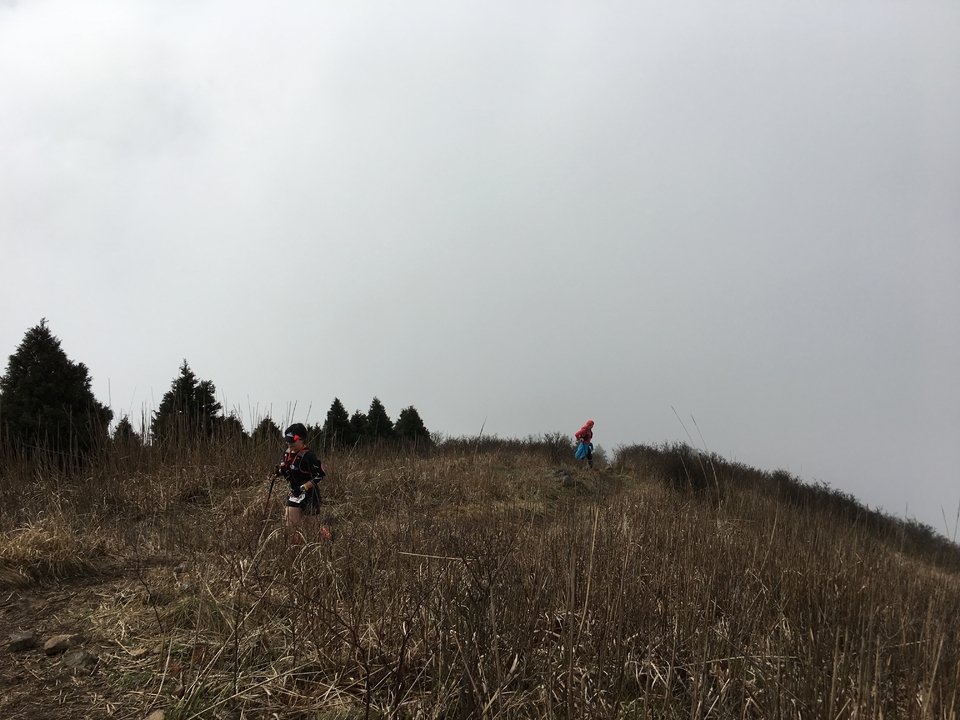 微信图片_20170330154417