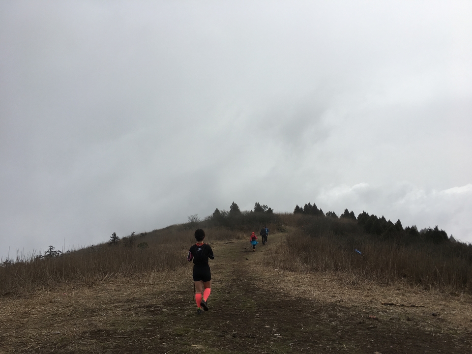 微信图片_20170330154433