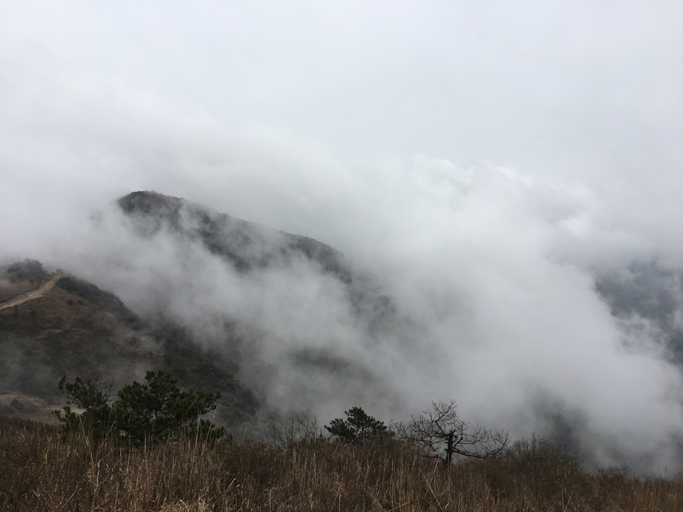 微信图片_20170330154455