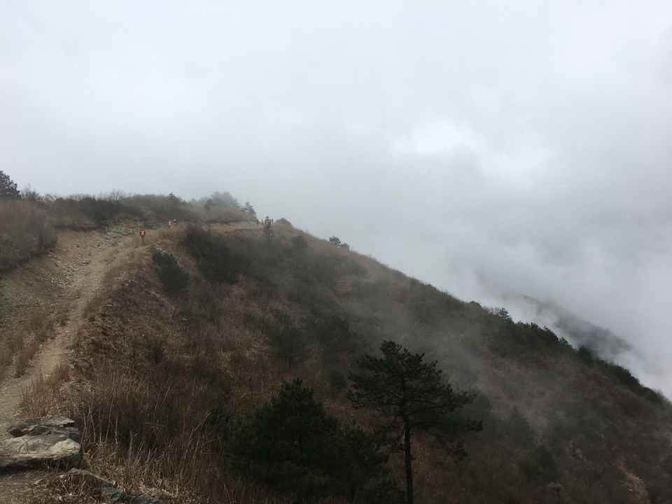 微信图片_20170330154503