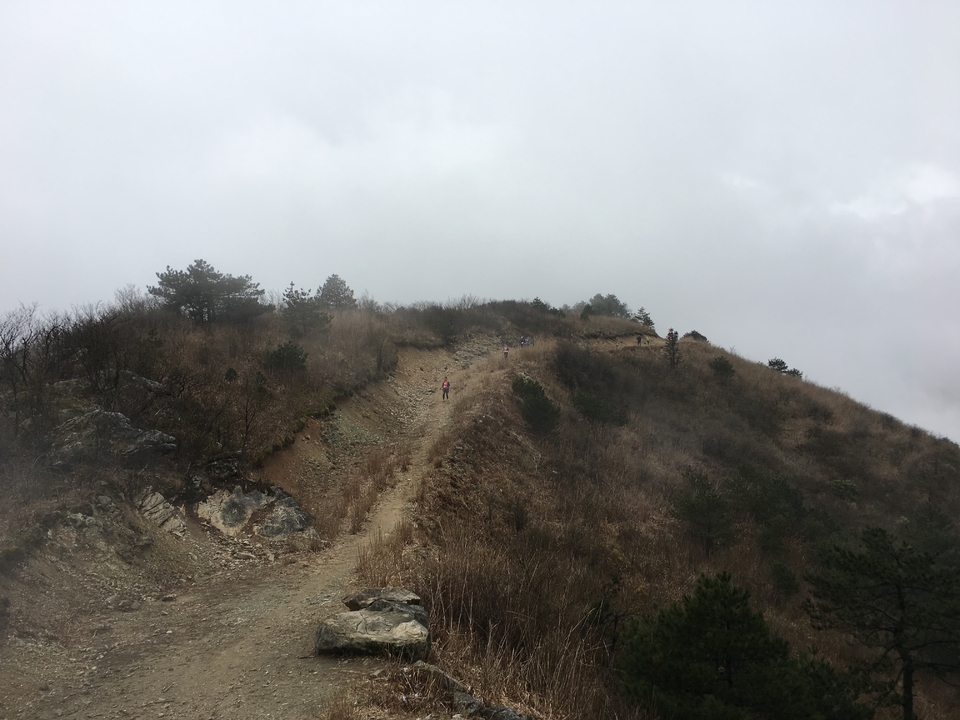 微信图片_20170330154506