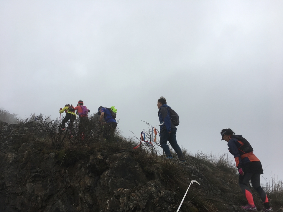 微信图片_20170330154727