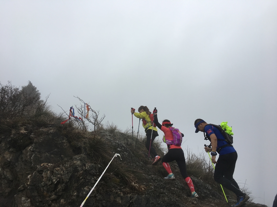 微信图片_20170330154508