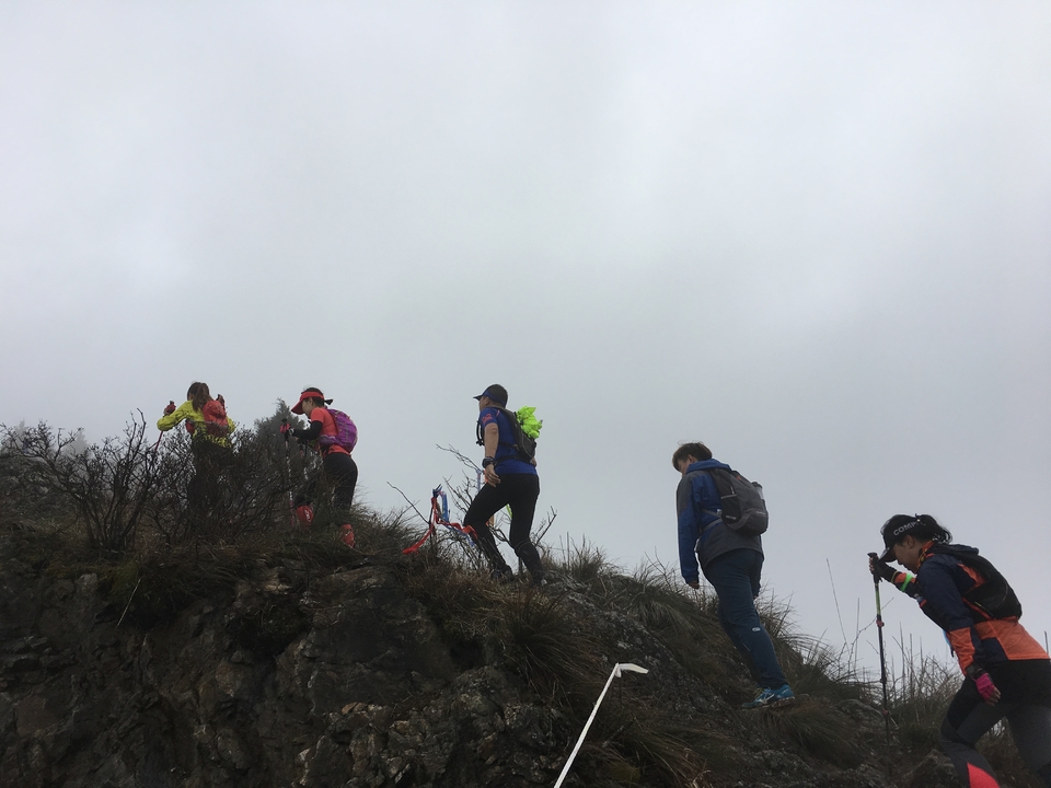 微信图片_20170330154732