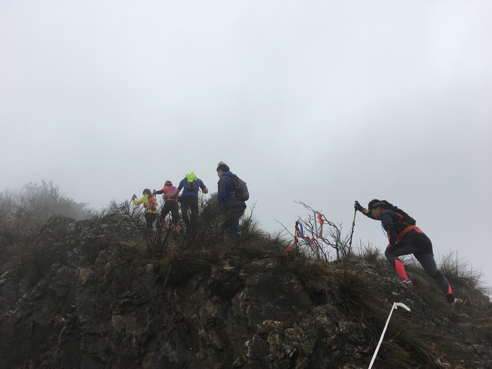 微信图片_20170330154735