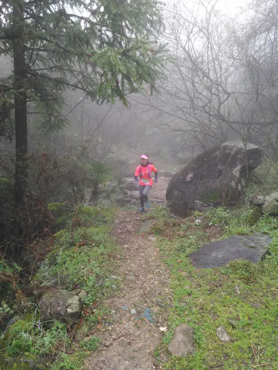 微信图片_20170330154739