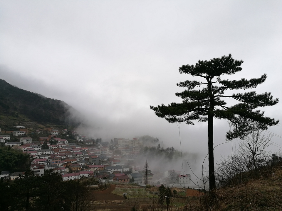 微信图片_20170330123059