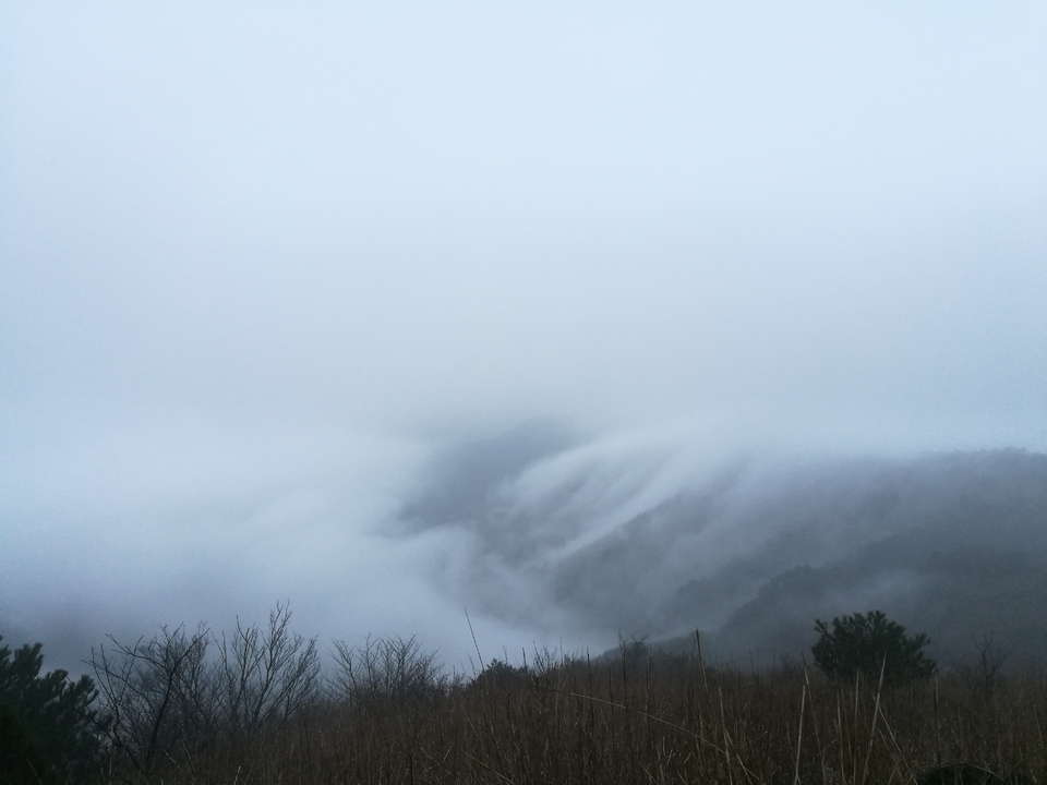 微信图片_20170330123108