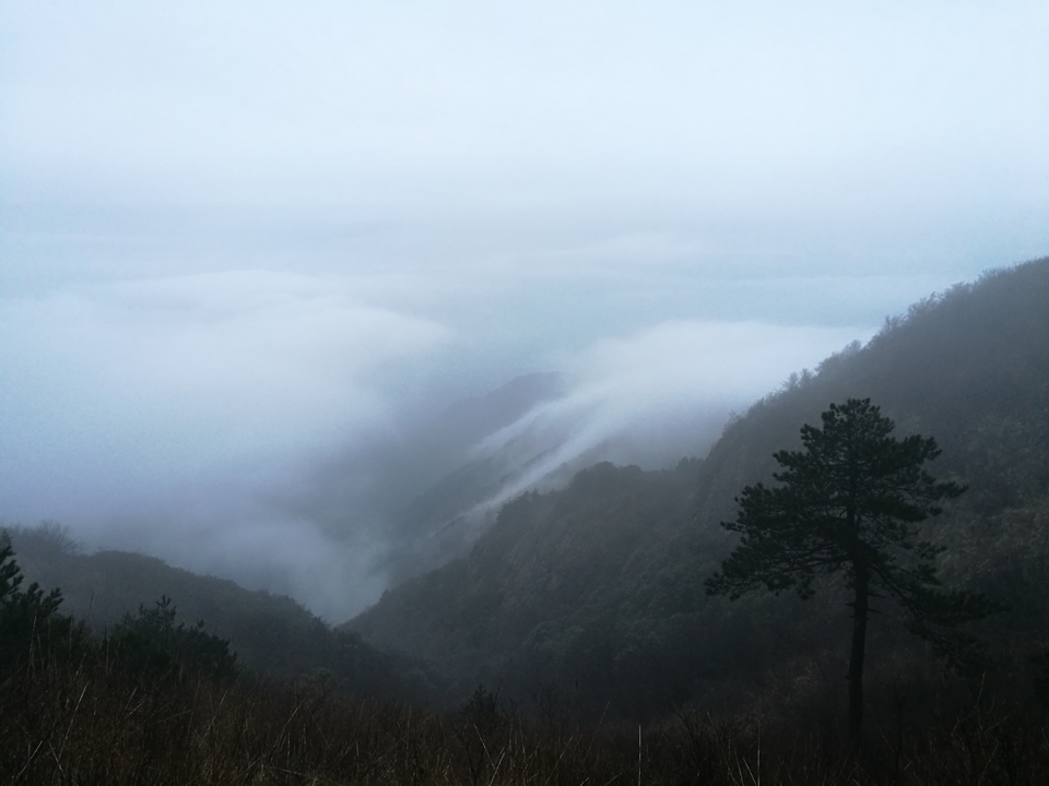 微信图片_20170330123110