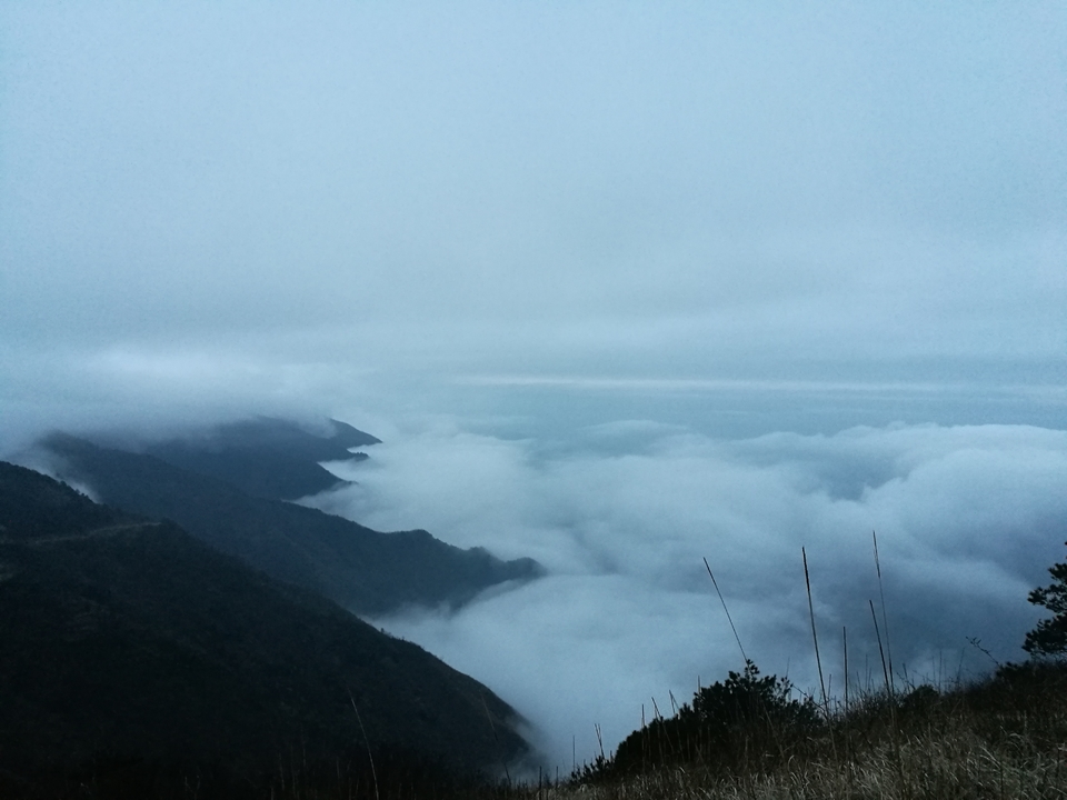 微信图片_20170330123121