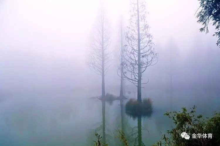 微信图片_20170330123643