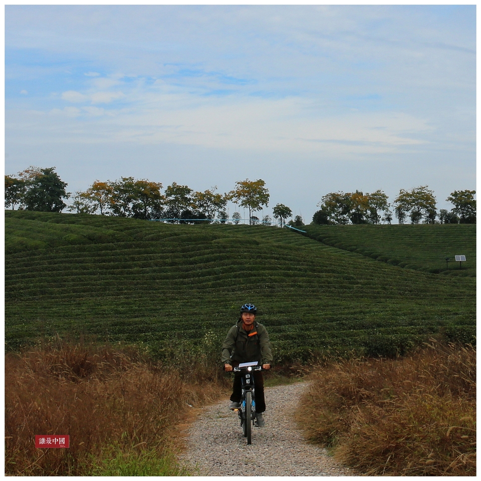 SH9C2972_副本_副本