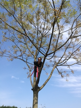 微信图片_20171126122722