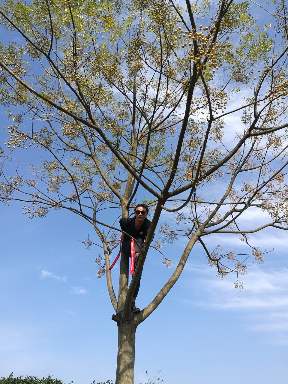 微信图片_20171126122722