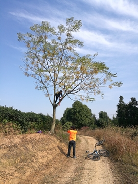 微信图片_20171126122744