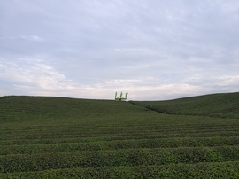 微信图片_20171126122803