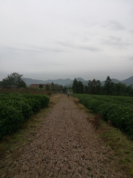 微信图片_20171126122812