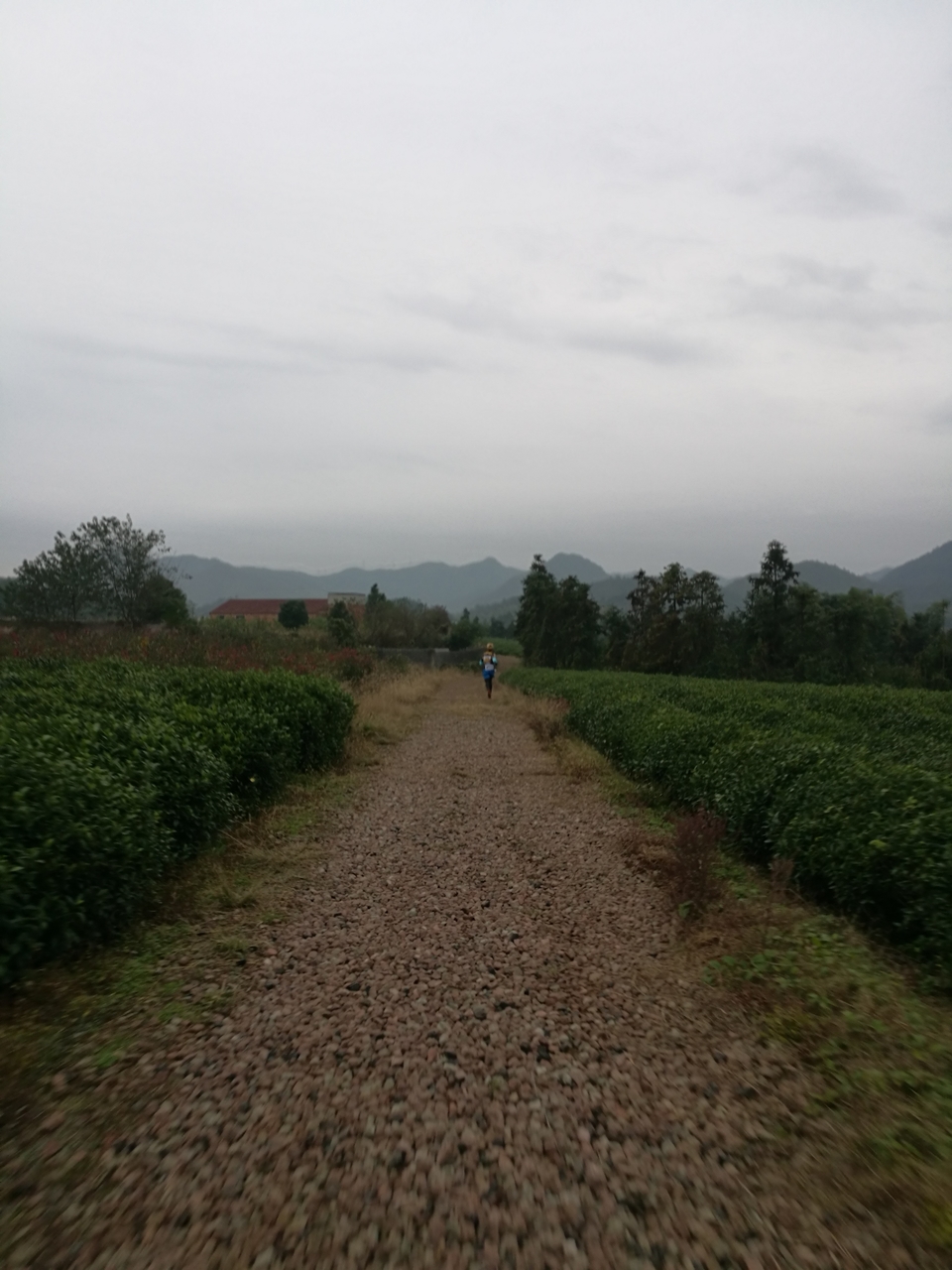 微信图片_20171126122812