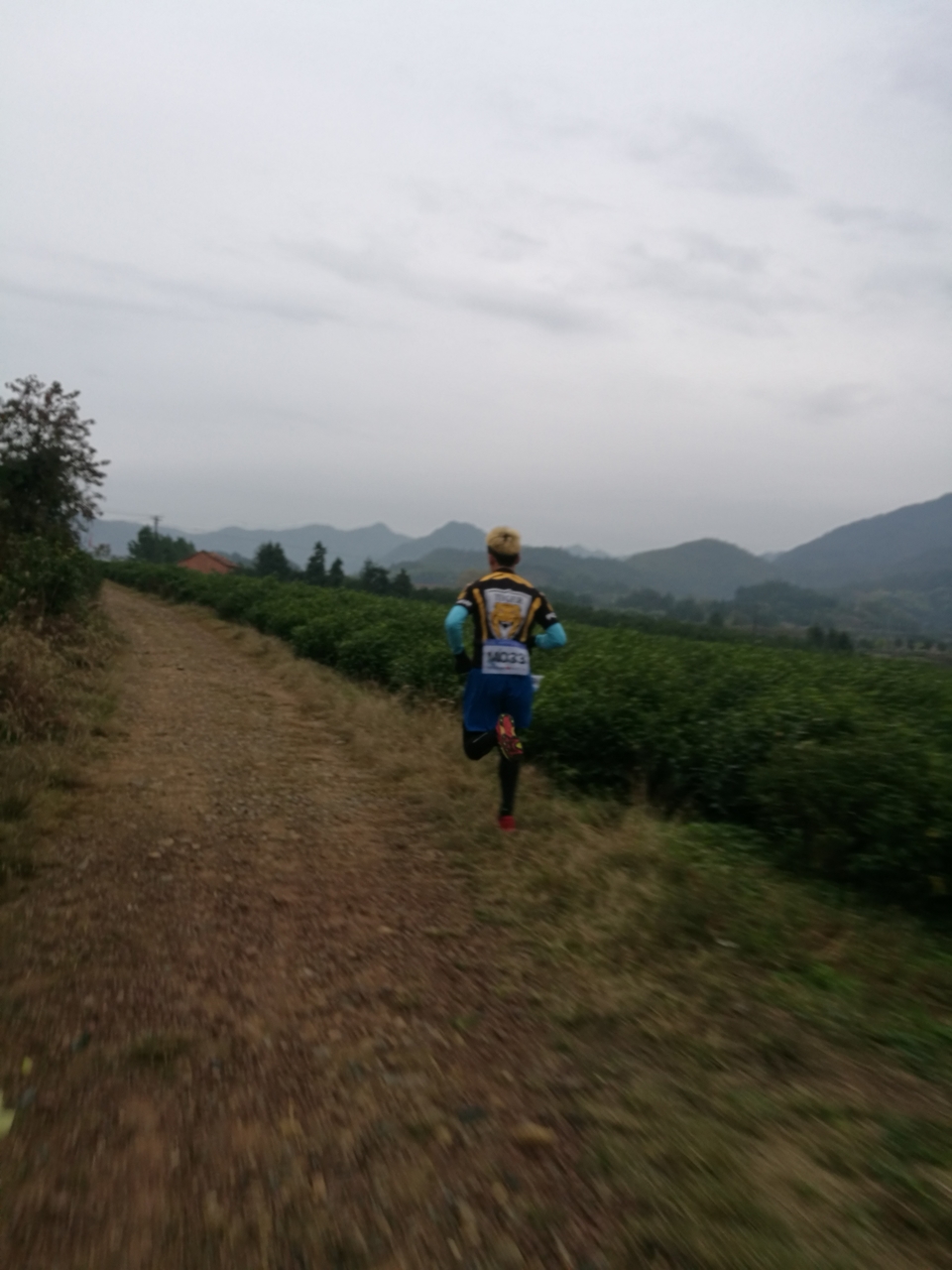 微信图片_20171126122815