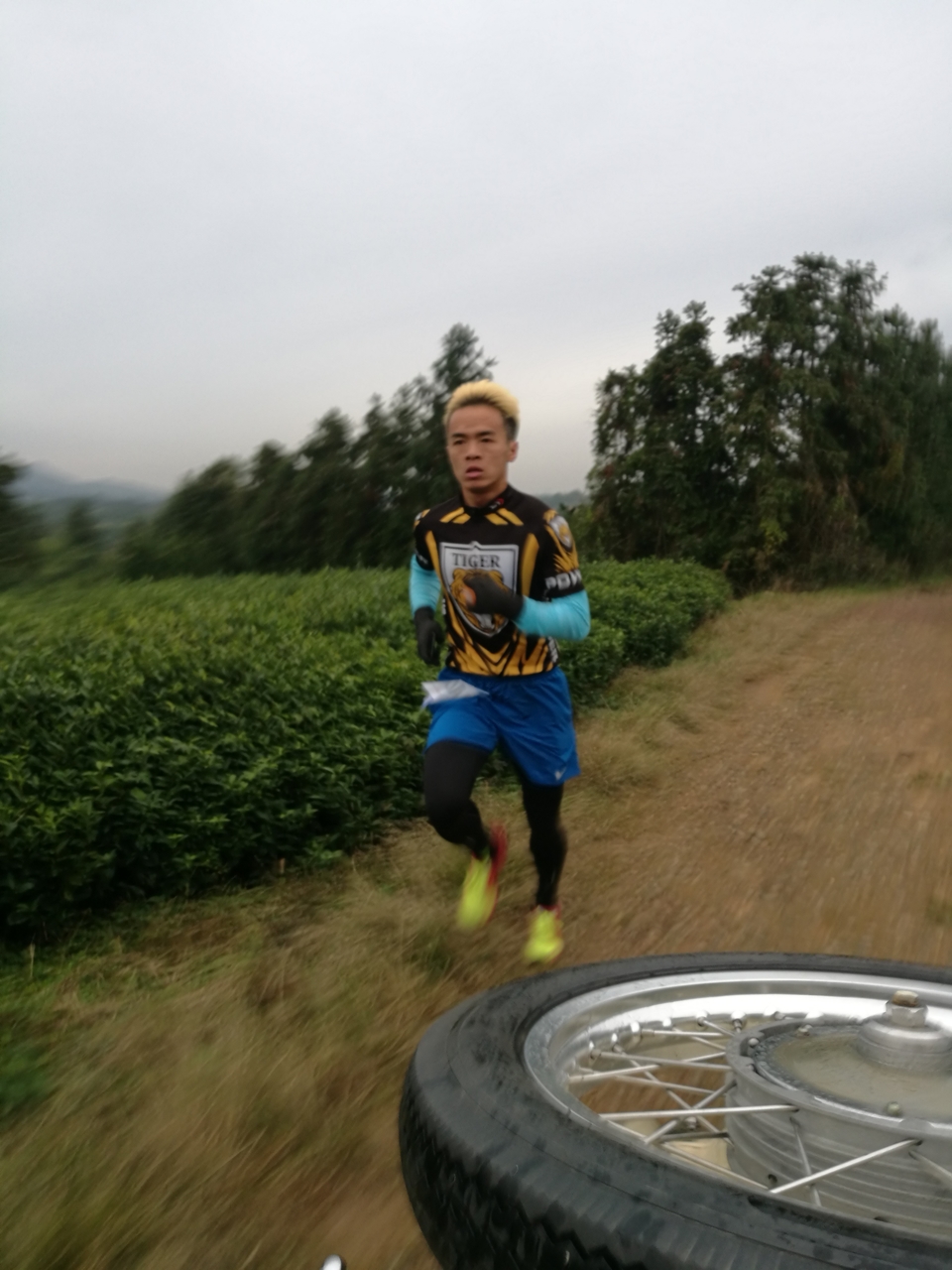 微信图片_20171126122820