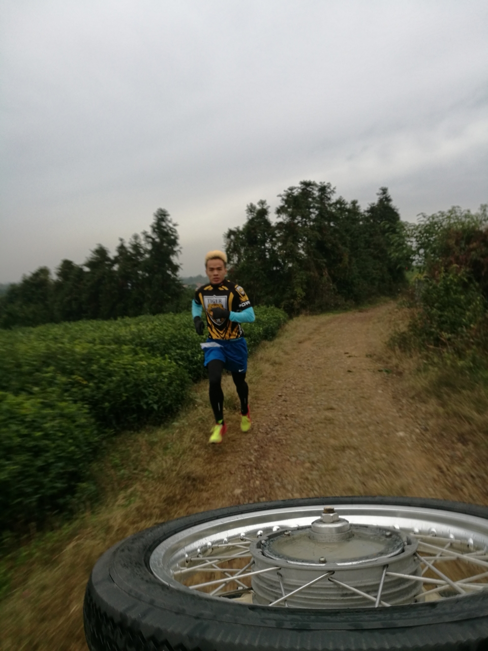 微信图片_20171126122829