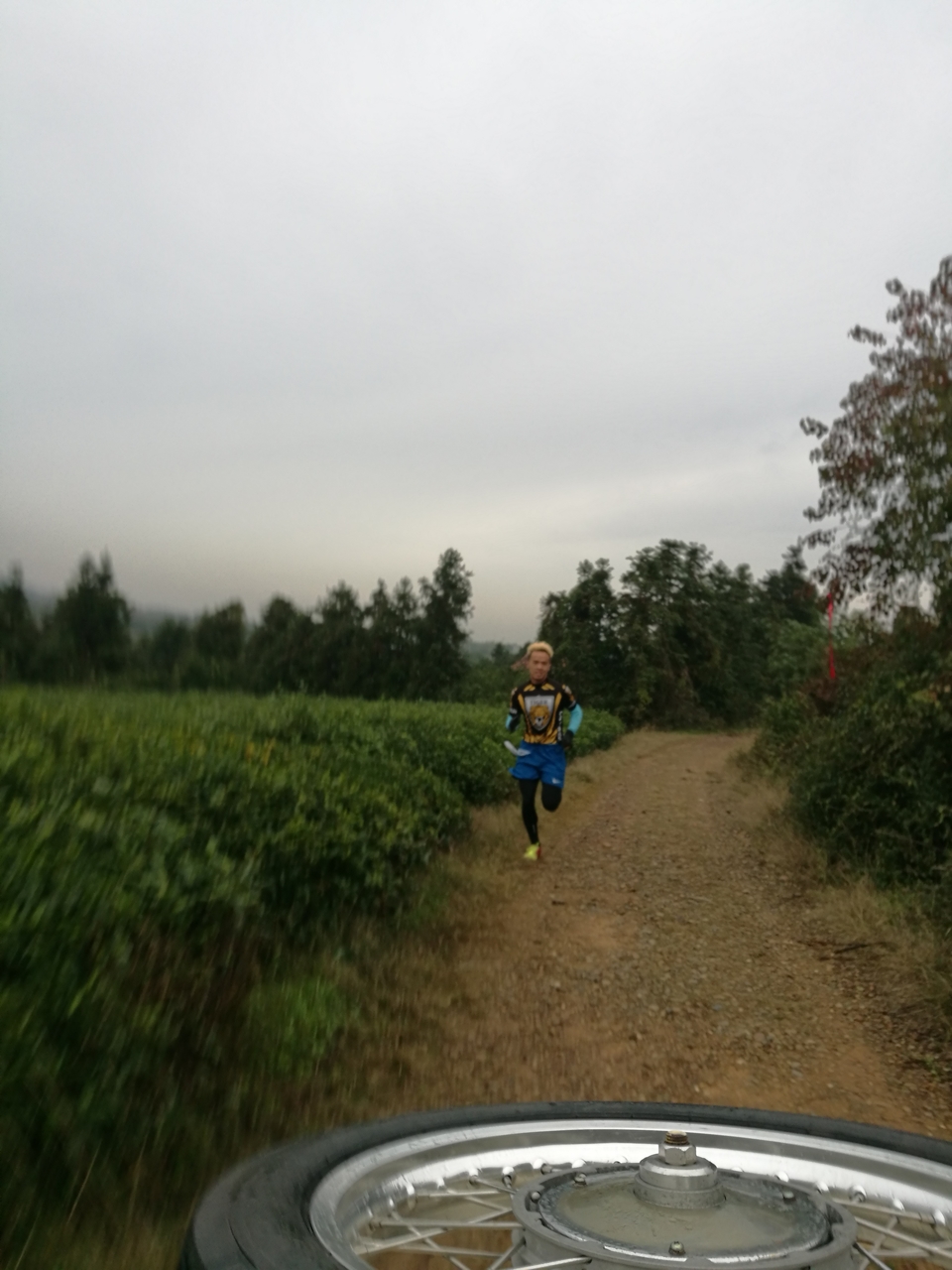 微信图片_20171126122835