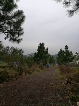 微信图片_20171126123102