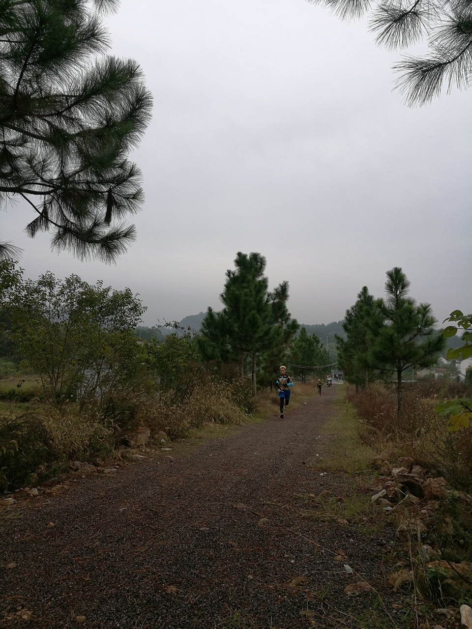 微信图片_20171126123102