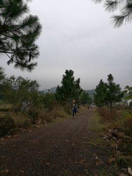 微信图片_20171126123105